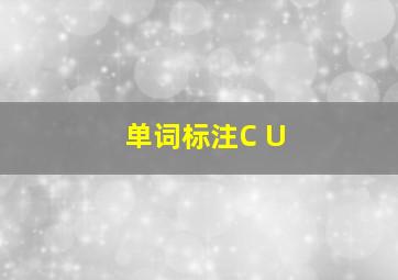 单词标注C U